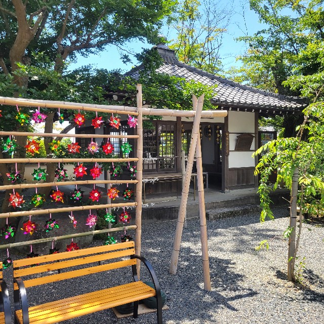 f:id:atoriatoriatori:20240618152608j:image