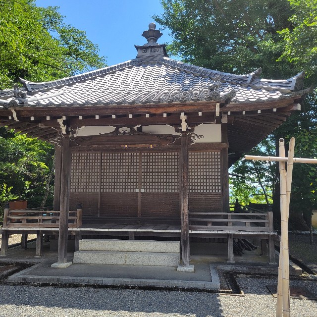 f:id:atoriatoriatori:20240618152638j:image
