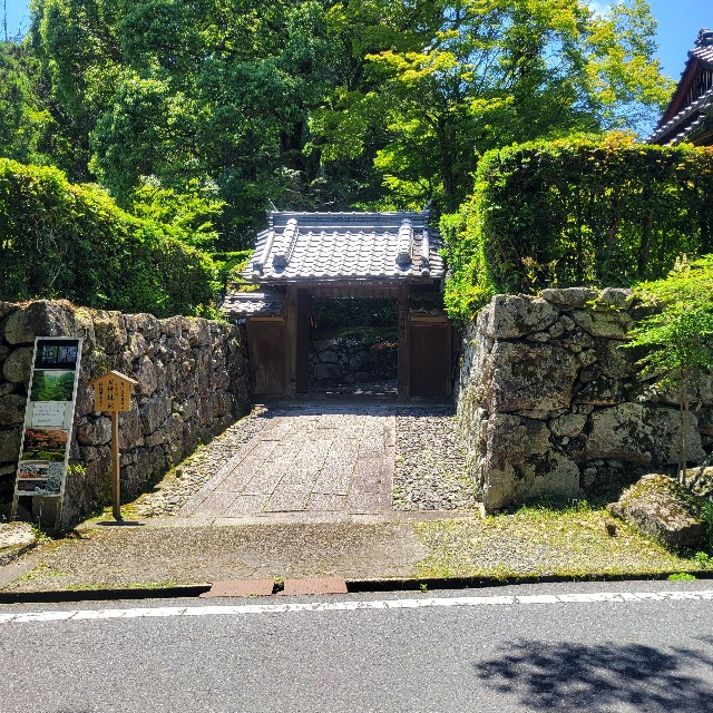 f:id:atoriatoriatori:20240620171836j:image