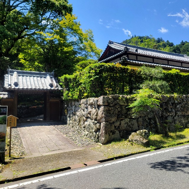 f:id:atoriatoriatori:20240620171842j:image