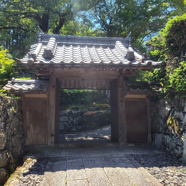 f:id:atoriatoriatori:20240620171848j:image