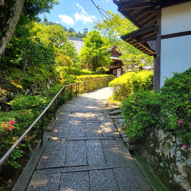 f:id:atoriatoriatori:20240620180838j:image