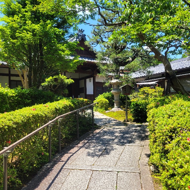 f:id:atoriatoriatori:20240620180845j:image