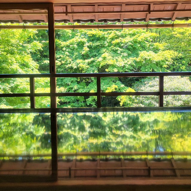 f:id:atoriatoriatori:20240620215929j:image