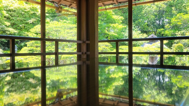 f:id:atoriatoriatori:20240620220009j:image