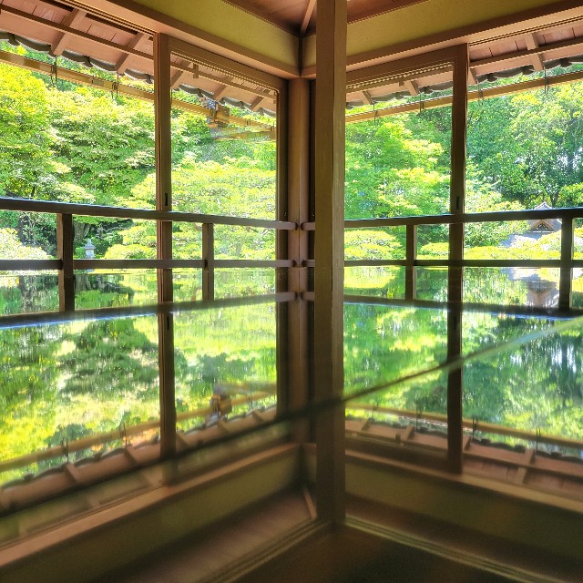 f:id:atoriatoriatori:20240620220020j:image