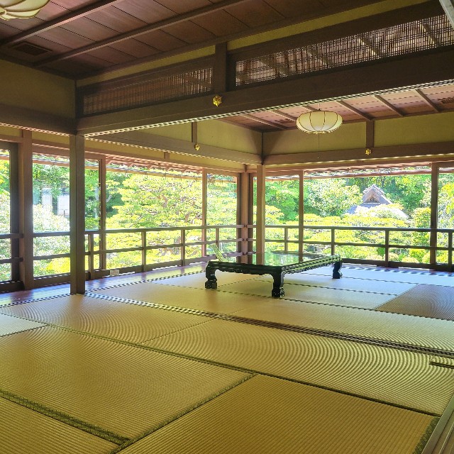 f:id:atoriatoriatori:20240620220438j:image