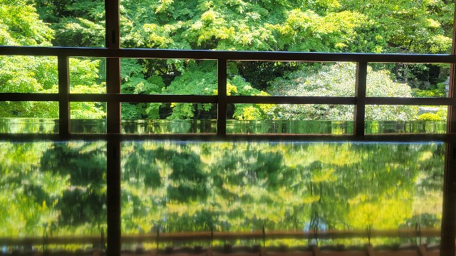 f:id:atoriatoriatori:20240620221507j:image