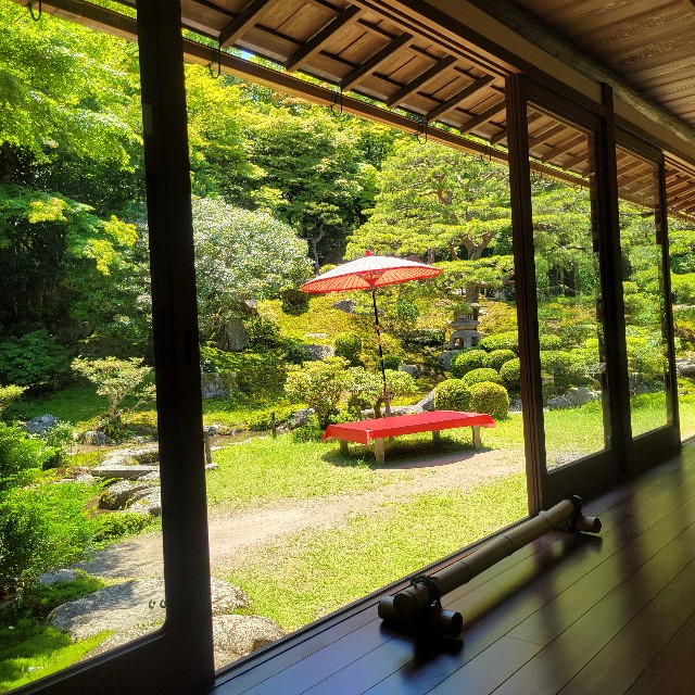 f:id:atoriatoriatori:20240620222253j:image