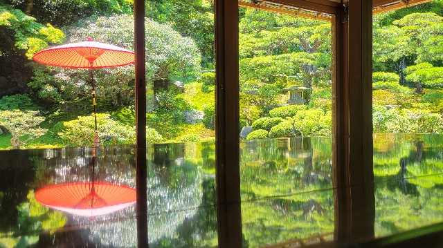 f:id:atoriatoriatori:20240620222322j:image
