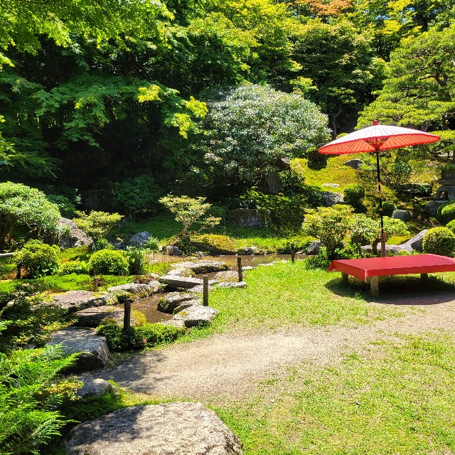 f:id:atoriatoriatori:20240621081618j:image