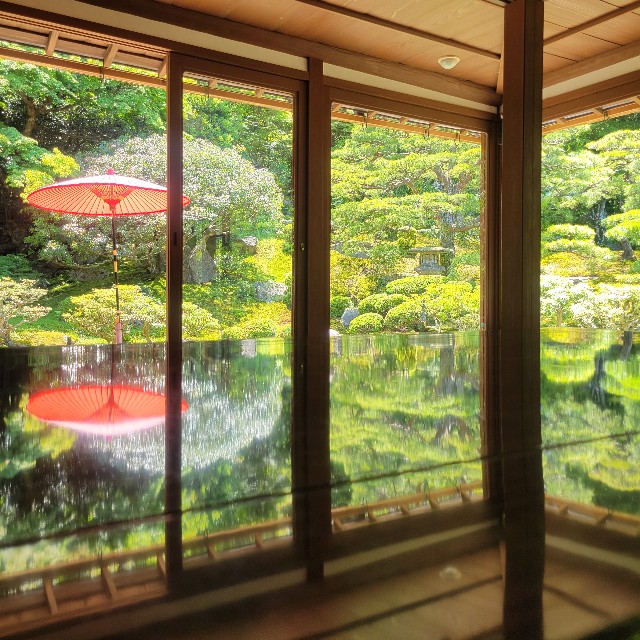 f:id:atoriatoriatori:20240621081816j:image