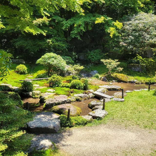f:id:atoriatoriatori:20240621153241j:image