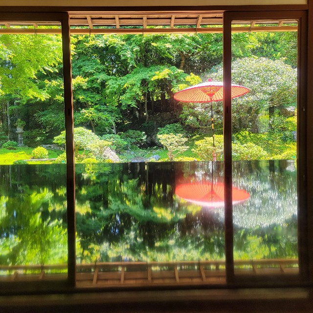 f:id:atoriatoriatori:20240621153929j:image