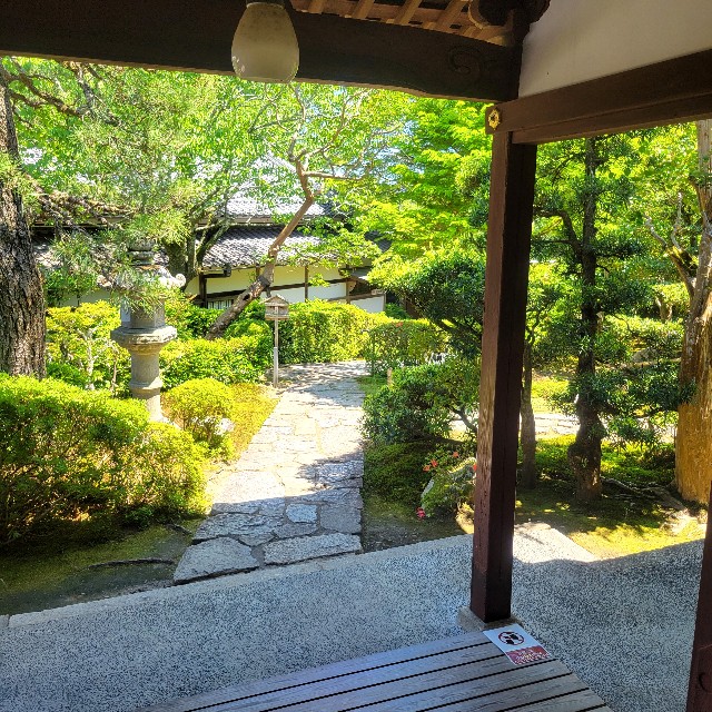 f:id:atoriatoriatori:20240621165846j:image