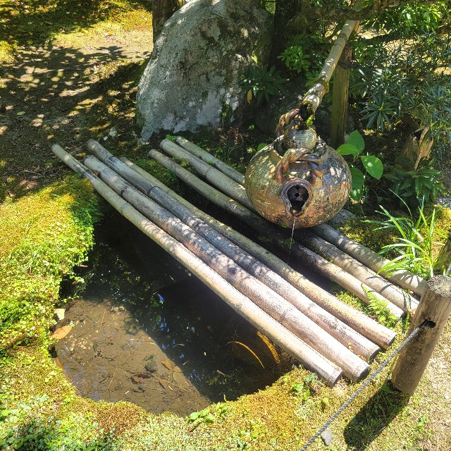 f:id:atoriatoriatori:20240621171602j:image