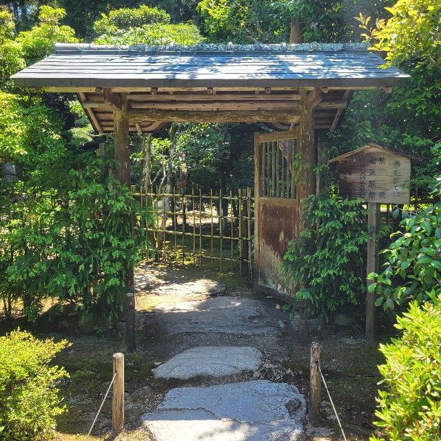 f:id:atoriatoriatori:20240621171609j:image