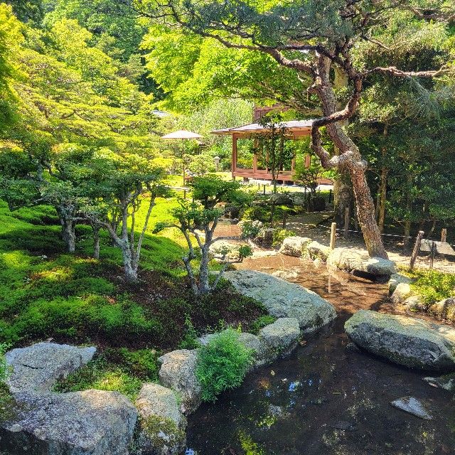 f:id:atoriatoriatori:20240621172113j:image