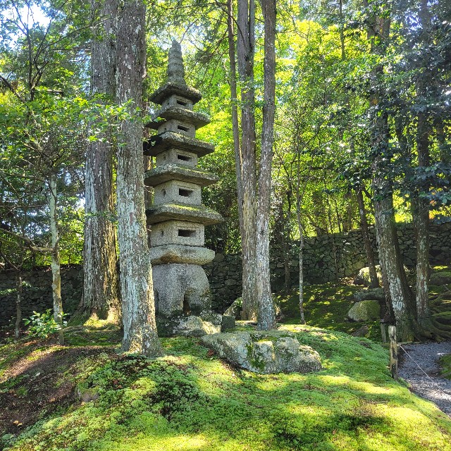 f:id:atoriatoriatori:20240621172656j:image