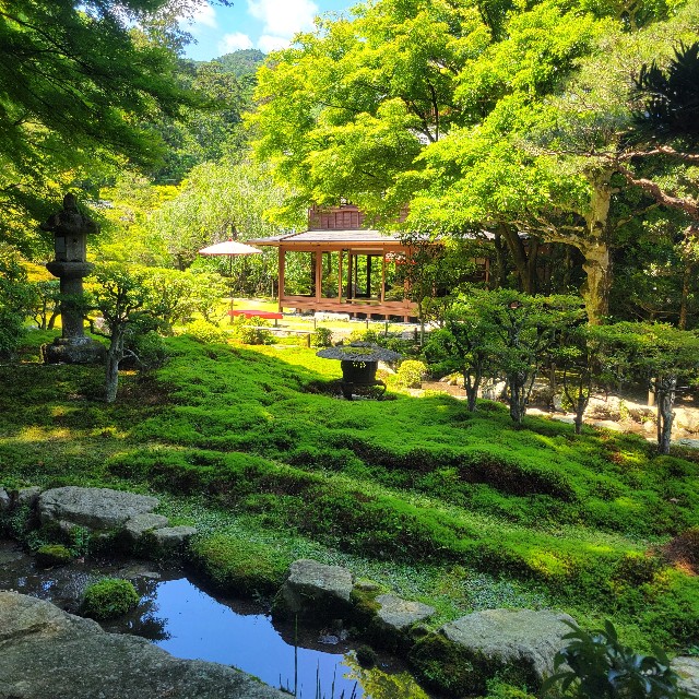 f:id:atoriatoriatori:20240621180405j:image