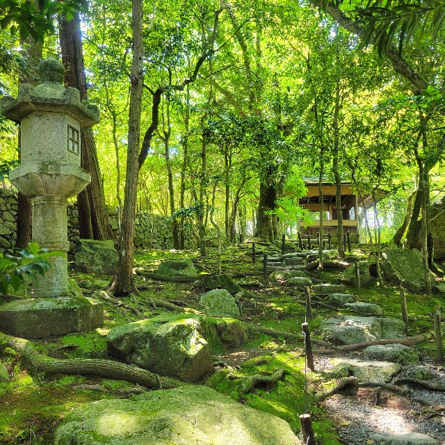 f:id:atoriatoriatori:20240621180417j:image