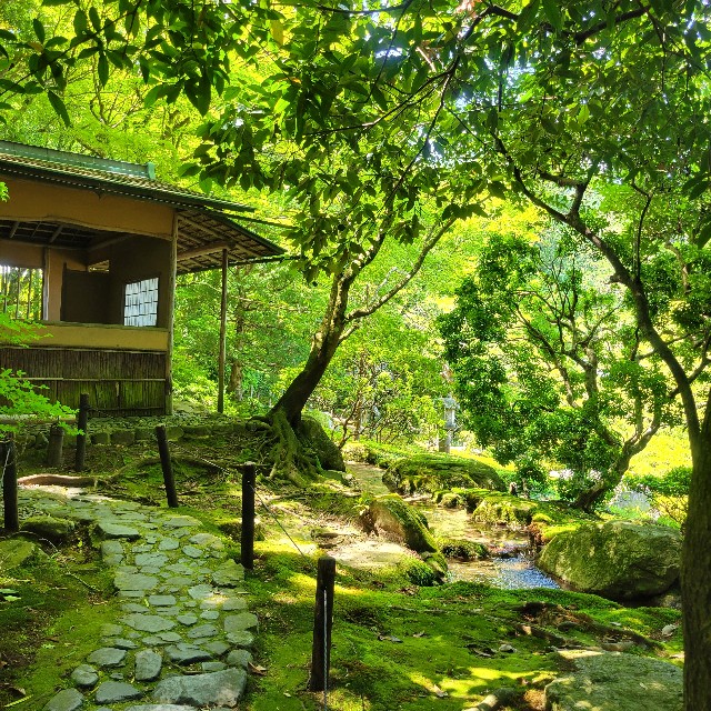 f:id:atoriatoriatori:20240621180847j:image