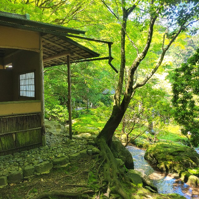 f:id:atoriatoriatori:20240621180858j:image