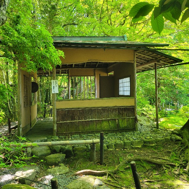 f:id:atoriatoriatori:20240621180912j:image