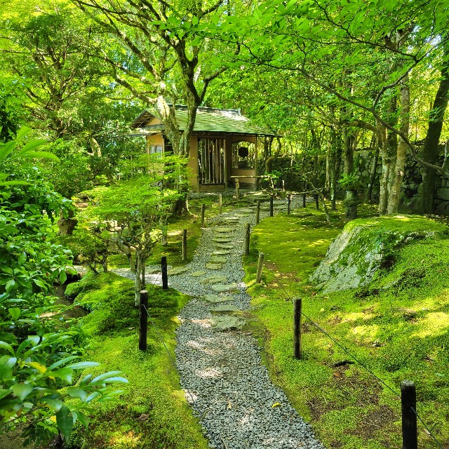 f:id:atoriatoriatori:20240621201525j:image