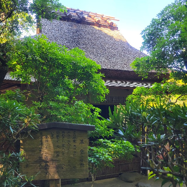 f:id:atoriatoriatori:20240621201533j:image