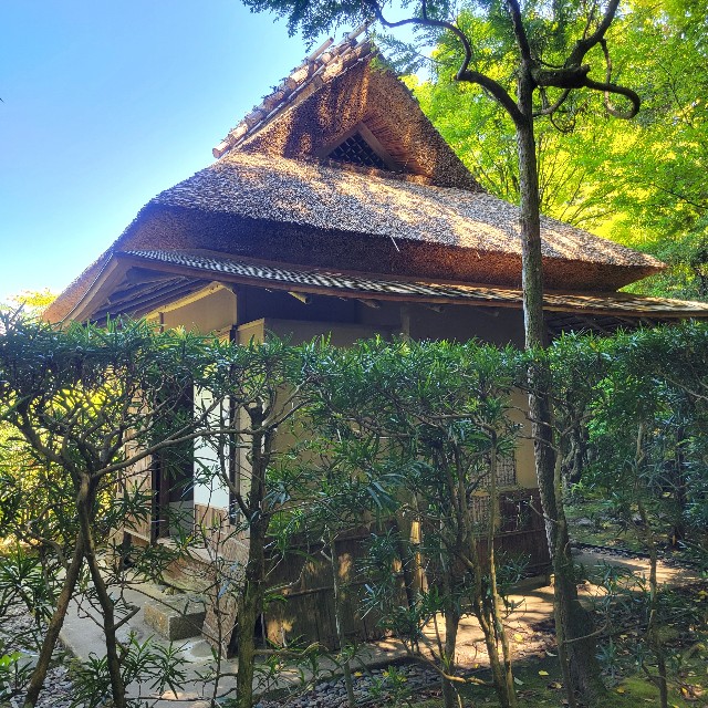 f:id:atoriatoriatori:20240622084153j:image