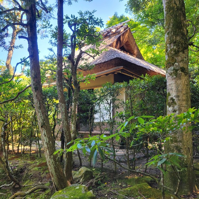 f:id:atoriatoriatori:20240622084159j:image