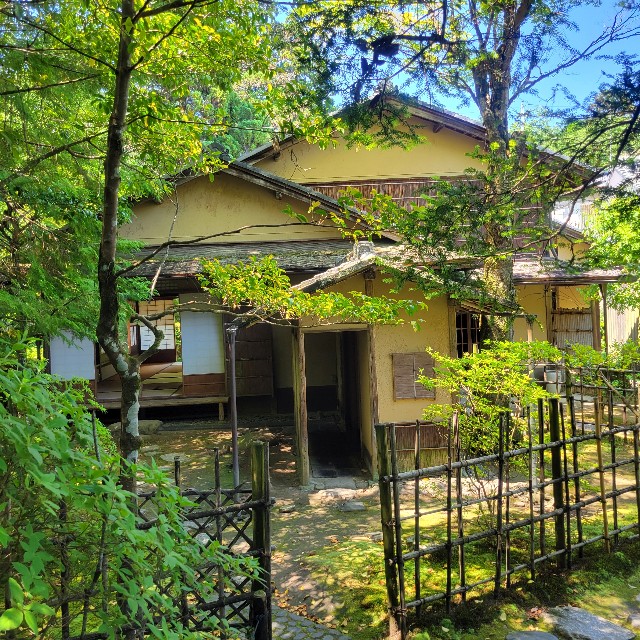 f:id:atoriatoriatori:20240622084602j:image