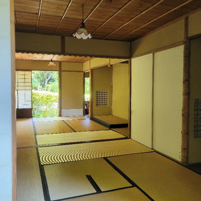 f:id:atoriatoriatori:20240622090735j:image