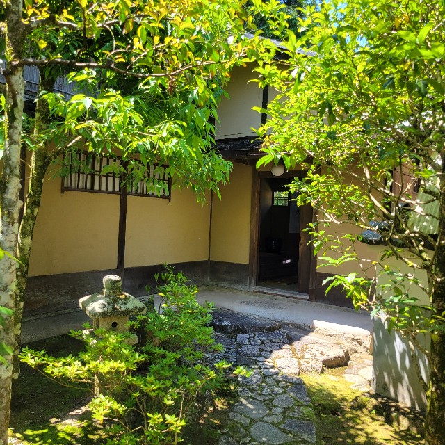 f:id:atoriatoriatori:20240622090754j:image