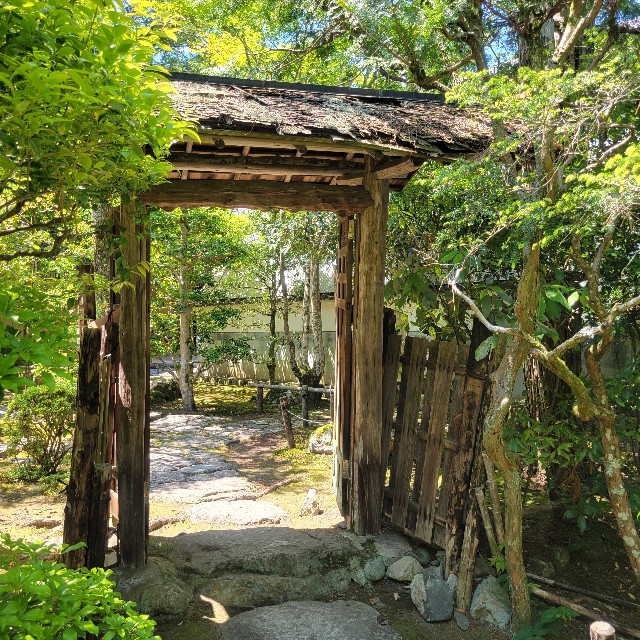 f:id:atoriatoriatori:20240622090805j:image