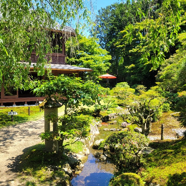 f:id:atoriatoriatori:20240622090814j:image