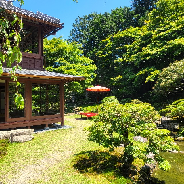 f:id:atoriatoriatori:20240622090825j:image