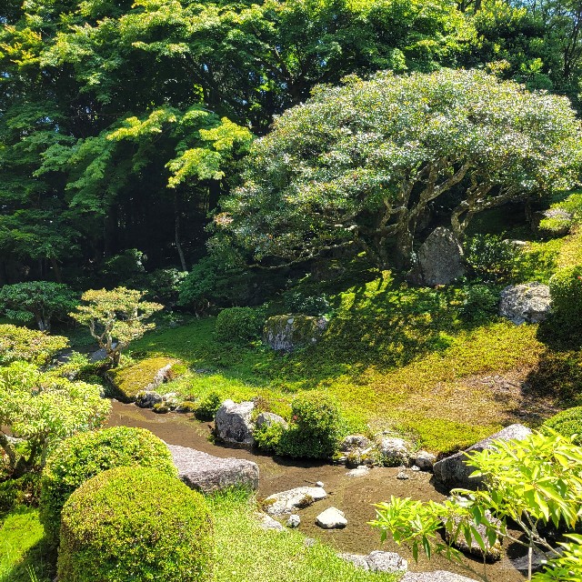 f:id:atoriatoriatori:20240622090845j:image