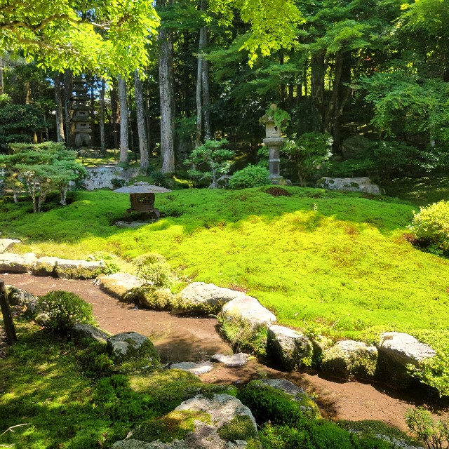 f:id:atoriatoriatori:20240622090901j:image