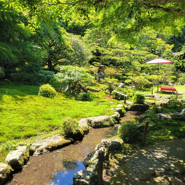 f:id:atoriatoriatori:20240622090909j:image