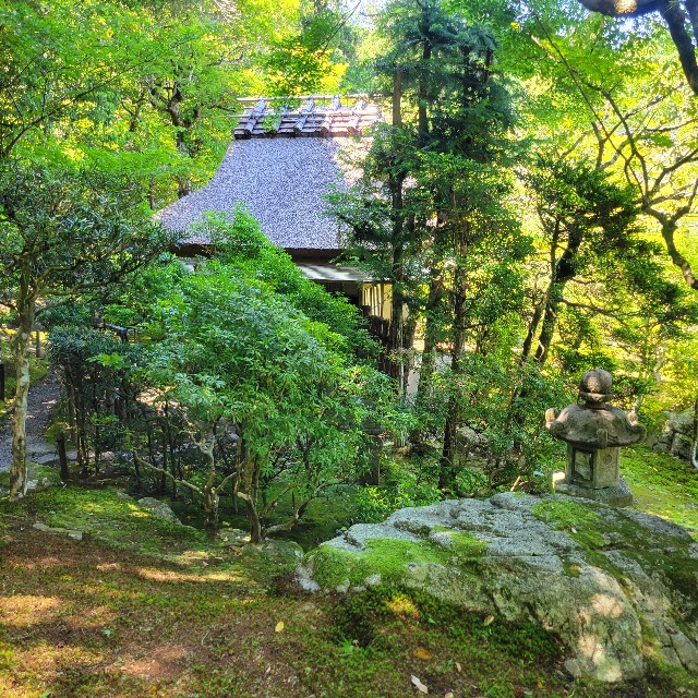 f:id:atoriatoriatori:20240622091204j:image