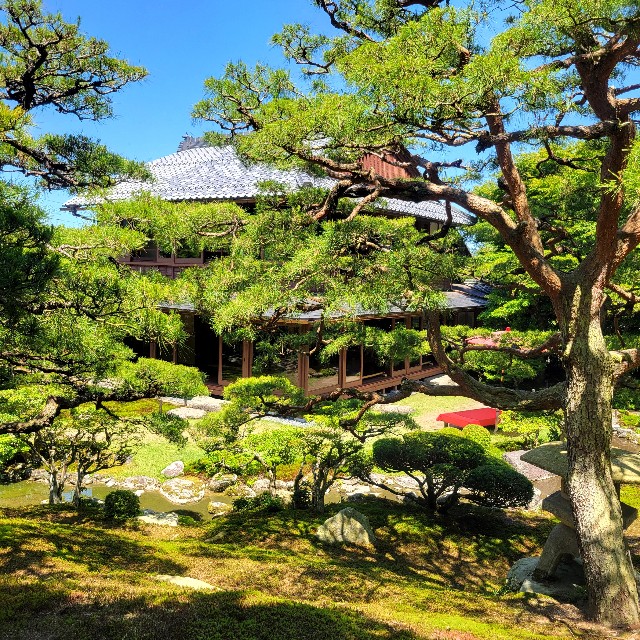 f:id:atoriatoriatori:20240622100307j:image