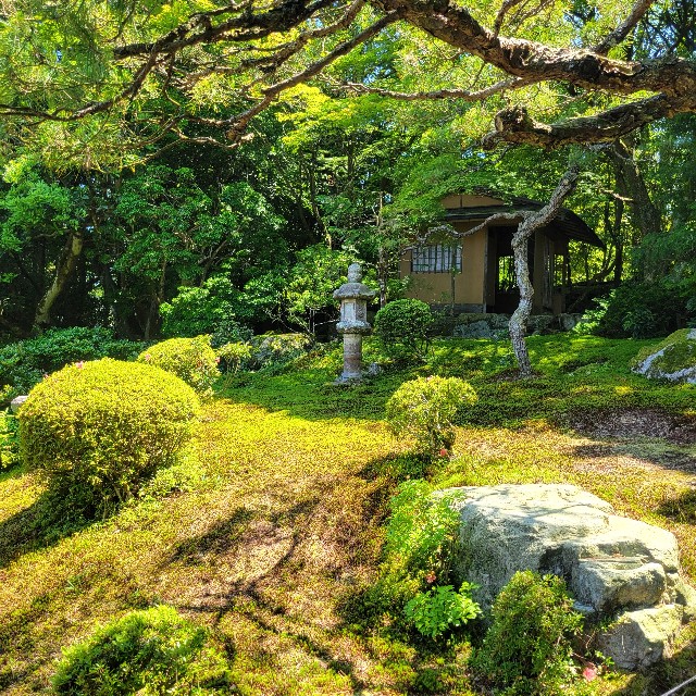 f:id:atoriatoriatori:20240622100339j:image