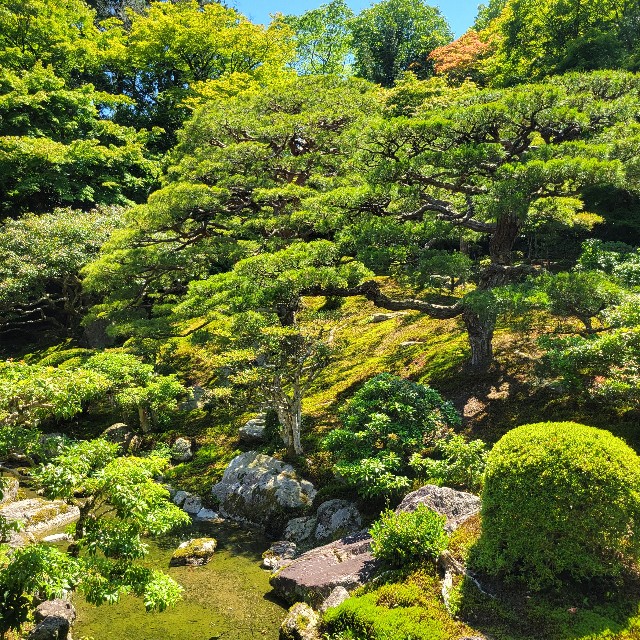 f:id:atoriatoriatori:20240622100548j:image