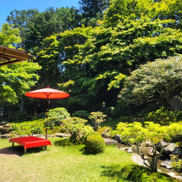 f:id:atoriatoriatori:20240622100617j:image