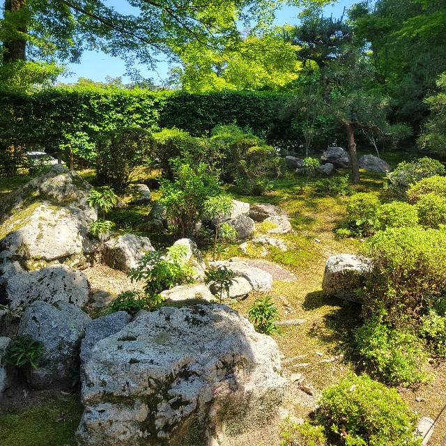 f:id:atoriatoriatori:20240622100829j:image