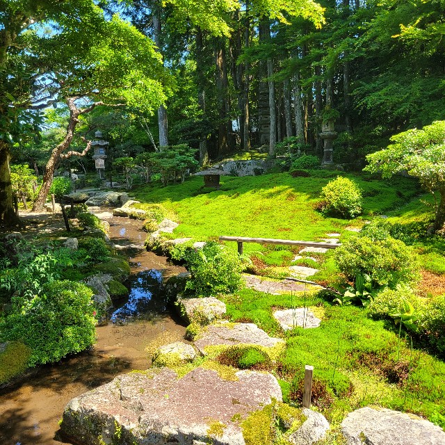 f:id:atoriatoriatori:20240622101139j:image