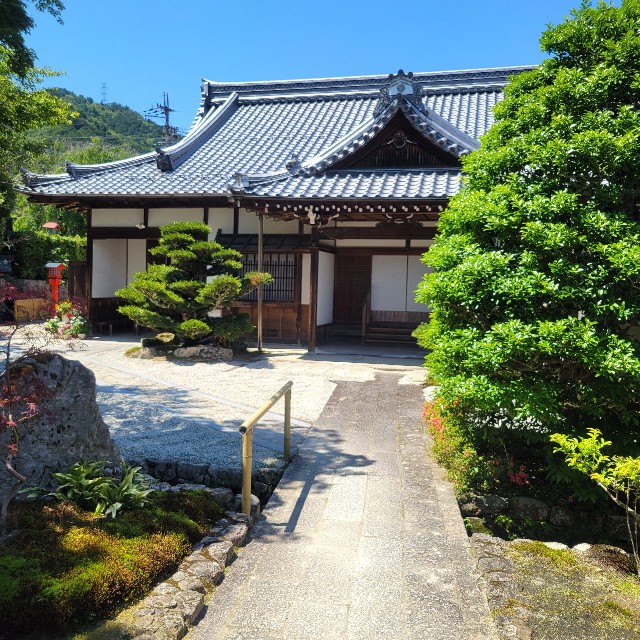 f:id:atoriatoriatori:20240623195148j:image f:id:atoriatoriatori:20240623195148j:image