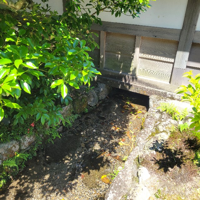 f:id:atoriatoriatori:20240623195414j:image f:id:atoriatoriatori:20240623195414j:image